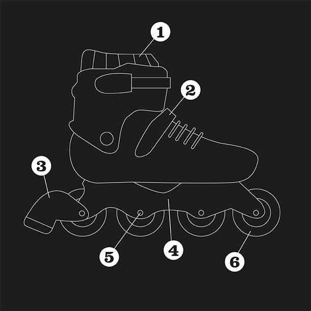 Anatomia del pattino